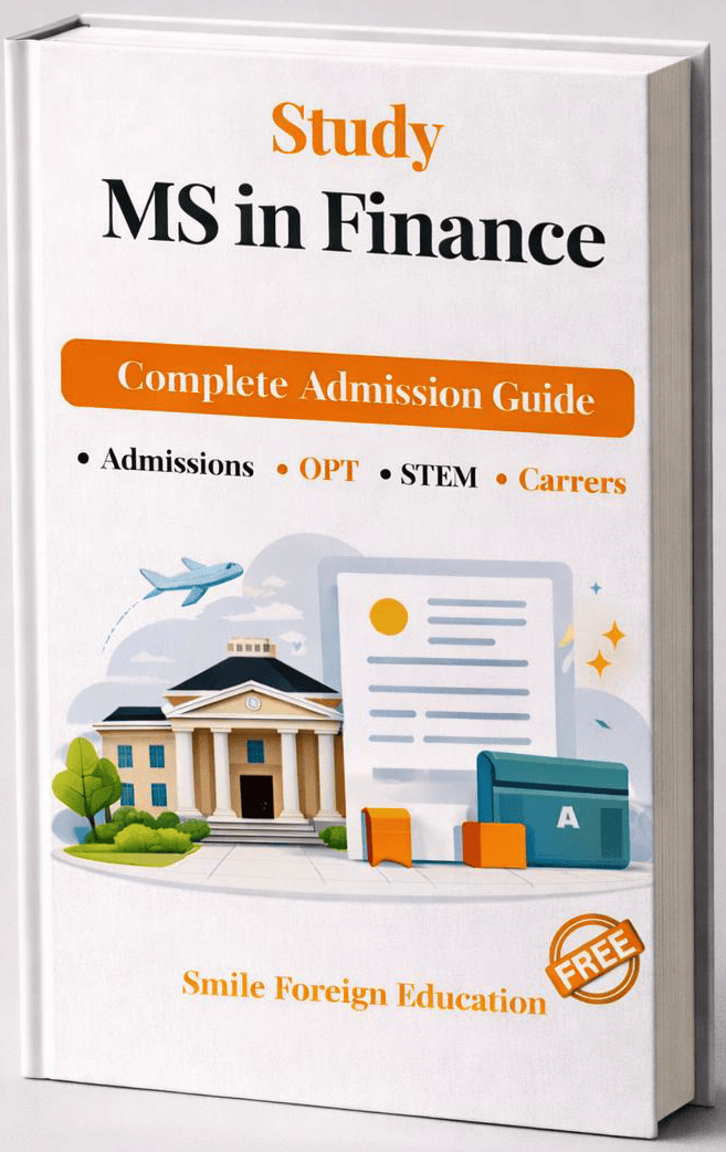 MS Finance Mini Guide